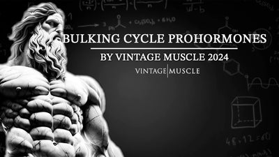 Bulking Cycle ProHormones by Vintage Muscle 2024