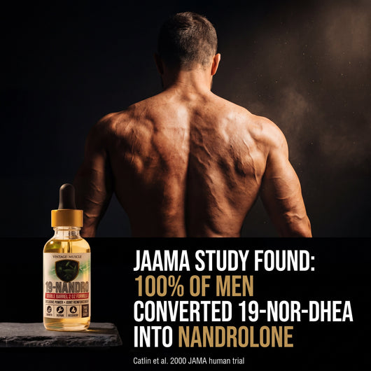 Old School Muscle & Strength, Joint Friendly - 19-Nandro