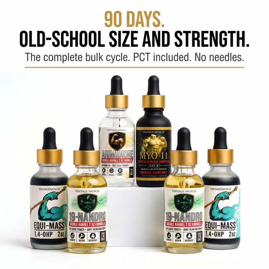 90 Day Hardcore Old School Bulk Protocol